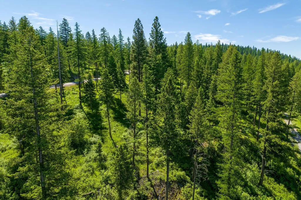 678 Saddlehorn Trail Bigfork MT 59911