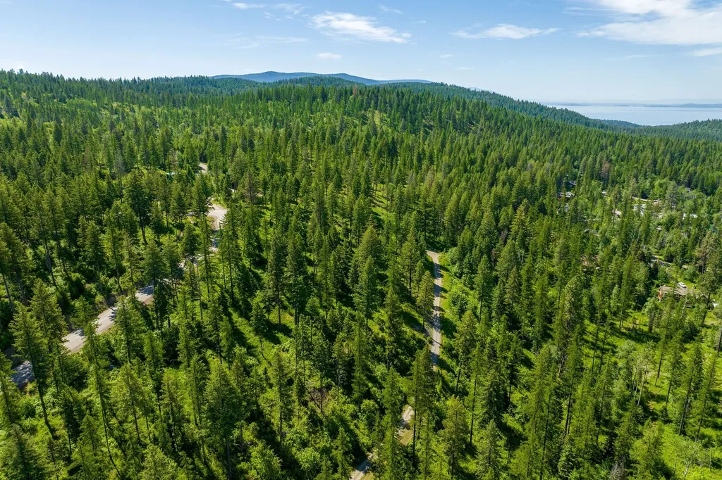 678 Saddlehorn Trail Bigfork MT 59911