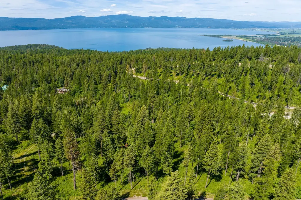 678 Saddlehorn Trail Bigfork MT 59911