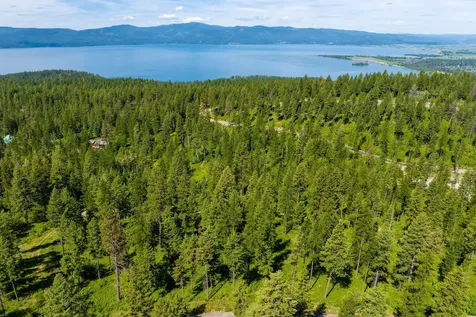 678 Saddlehorn Trail Bigfork MT 59911