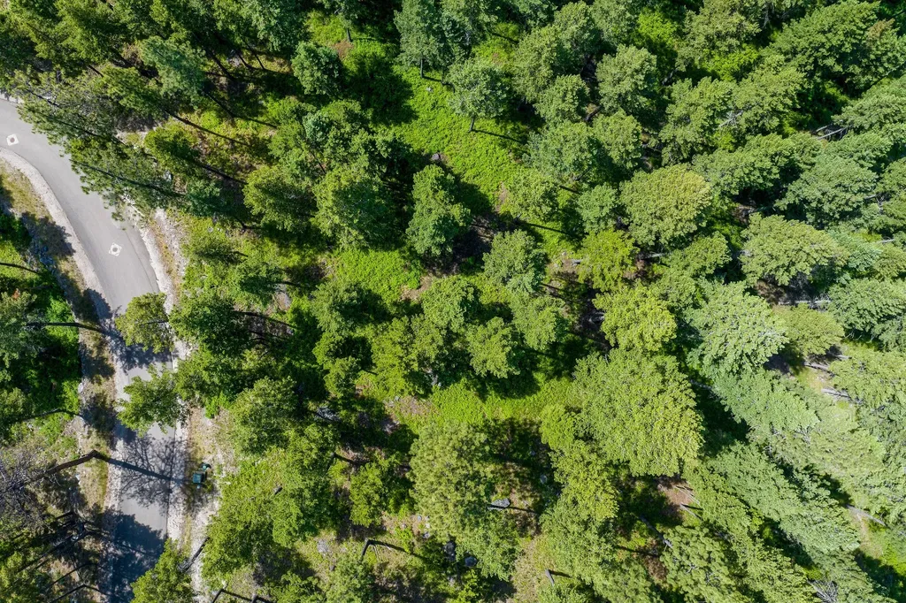 369 Chief Cliff Trail Bigfork MT 59911