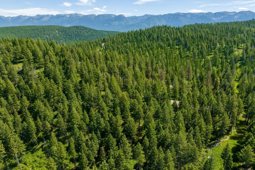 369 Chief Cliff Trail Bigfork MT 59911