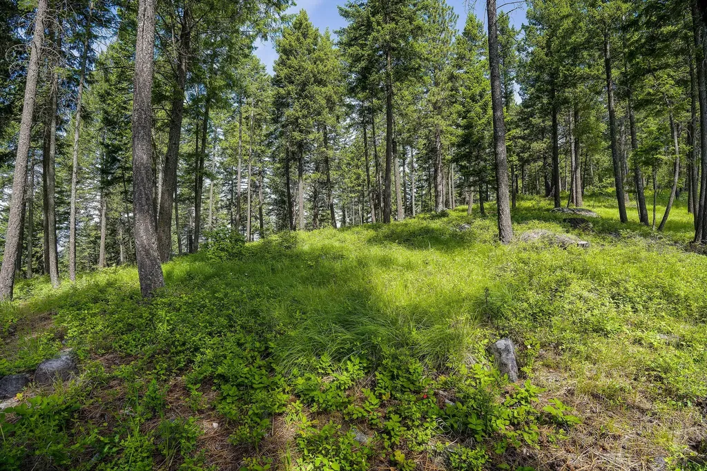 369 Chief Cliff Trail Bigfork MT 59911