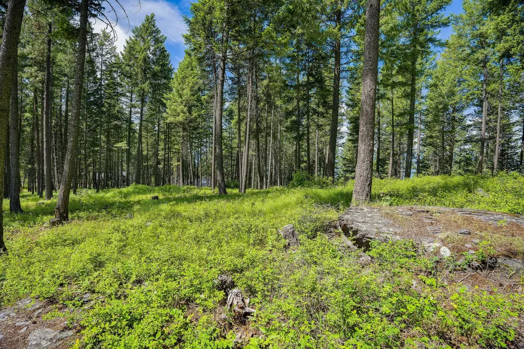 369 Chief Cliff Trail Bigfork MT 59911