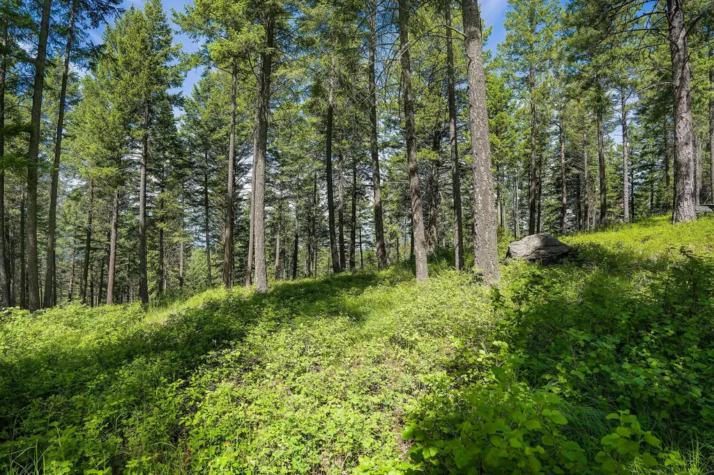 369 Chief Cliff Trail Bigfork MT 59911