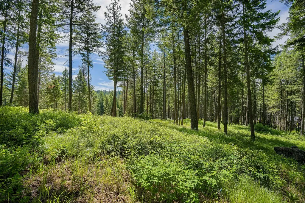 369 Chief Cliff Trail Bigfork MT 59911
