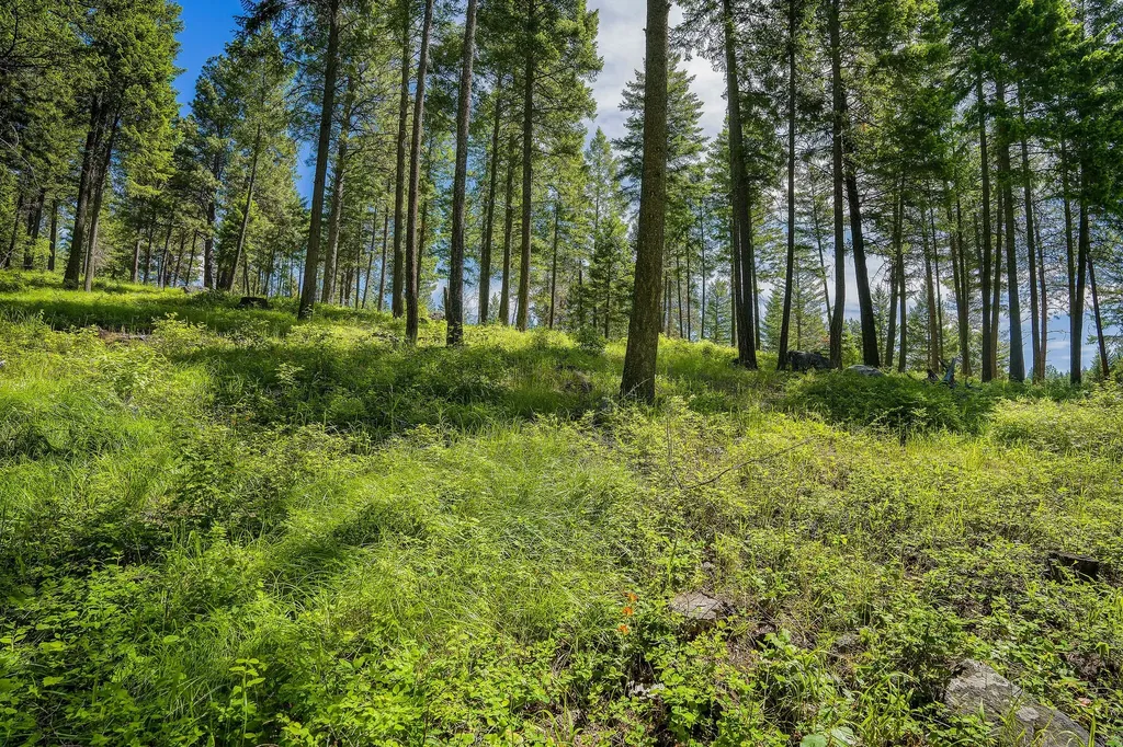 369 Chief Cliff Trail Bigfork MT 59911