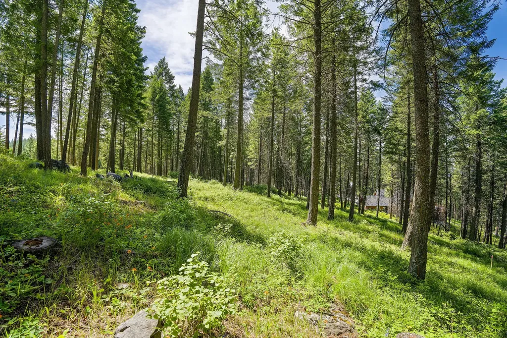 369 Chief Cliff Trail Bigfork MT 59911