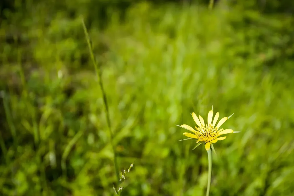 234 Trading Post Trail Bigfork MT 59911