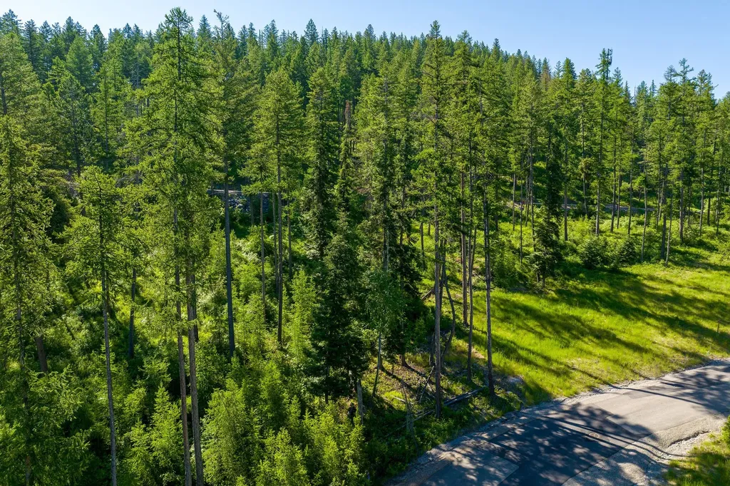 234 Trading Post Trail Bigfork MT 59911
