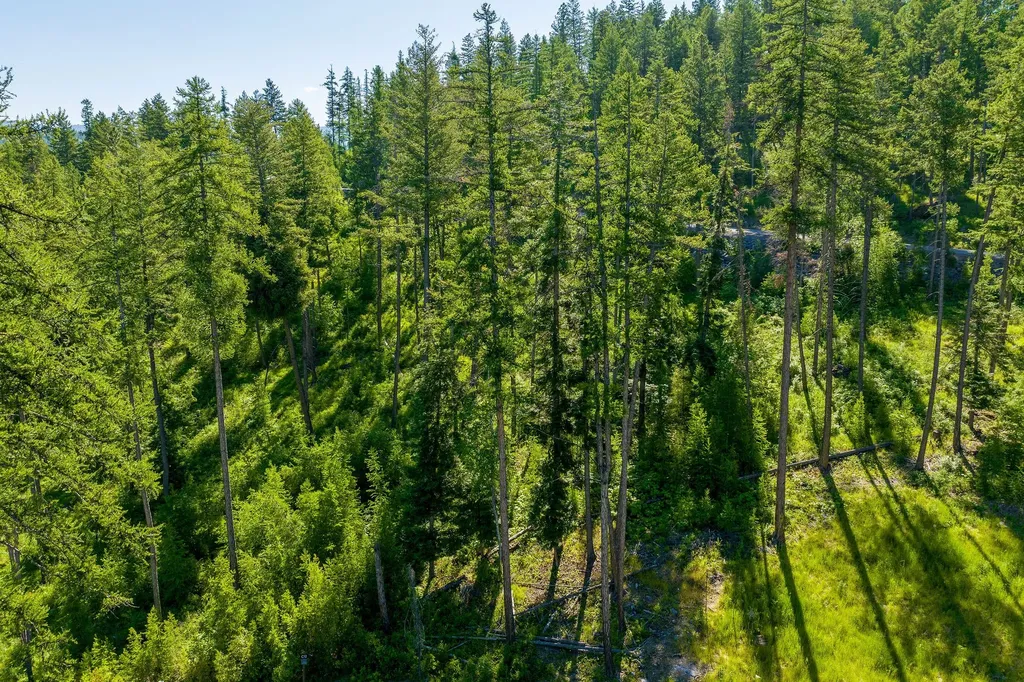 234 Trading Post Trail Bigfork MT 59911