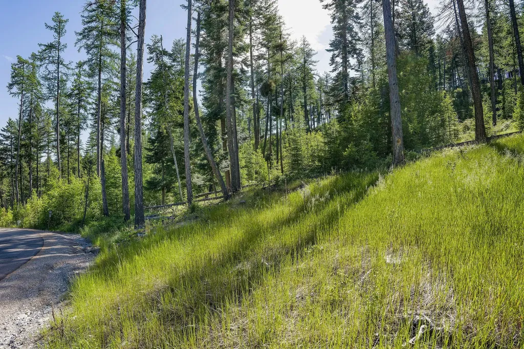 234 Trading Post Trail Bigfork MT 59911