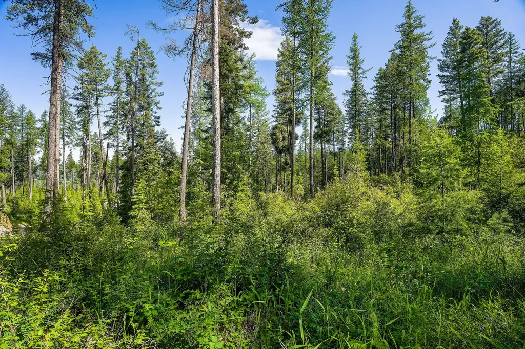 234 Trading Post Trail Bigfork MT 59911