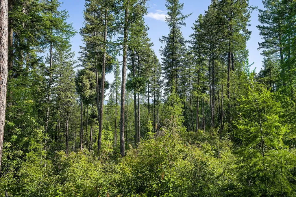 234 Trading Post Trail Bigfork MT 59911