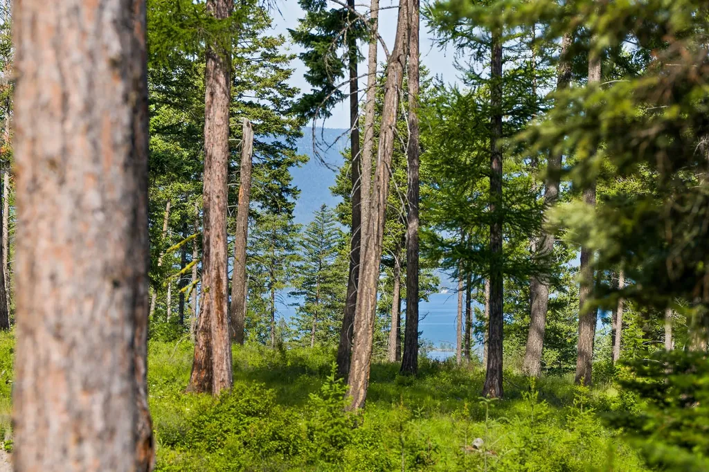 234 Trading Post Trail Bigfork MT 59911