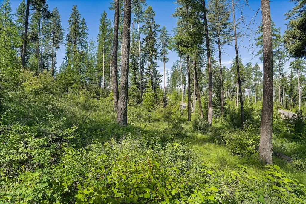 234 Trading Post Trail Bigfork MT 59911