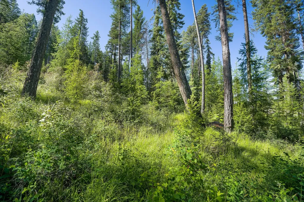 234 Trading Post Trail Bigfork MT 59911