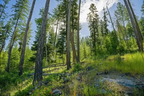 234 Trading Post Trail Bigfork MT 59911