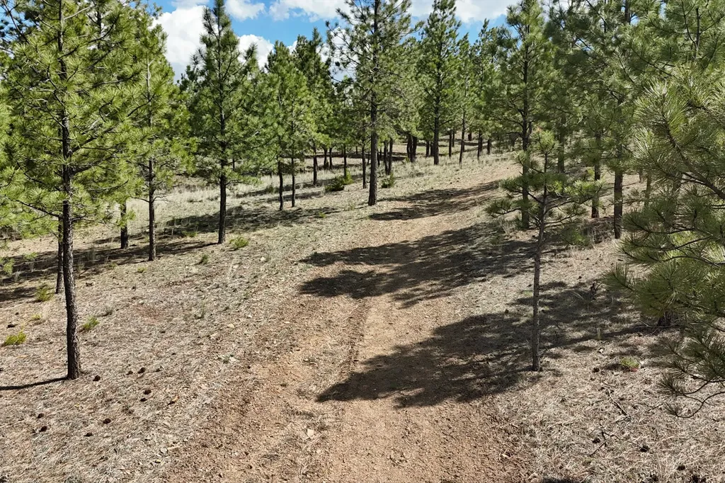 6417 Big Belt Drive Helena MT 59602