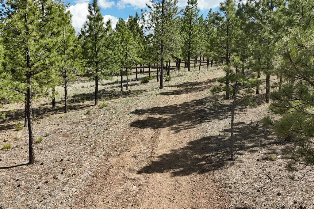 6417 Big Belt Drive Helena MT 59602