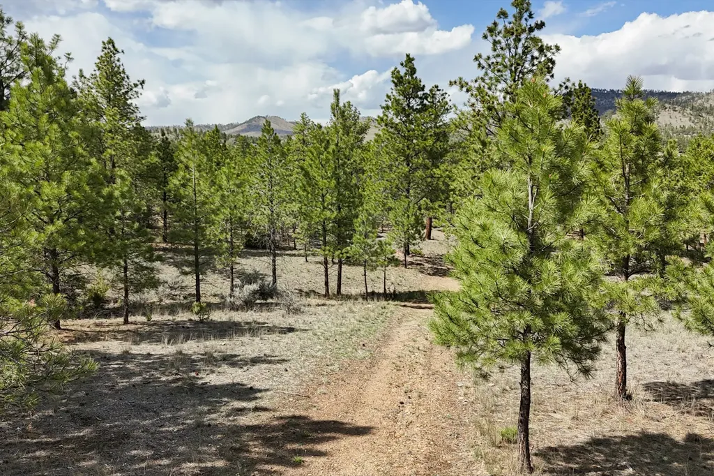6417 Big Belt Drive Helena MT 59602