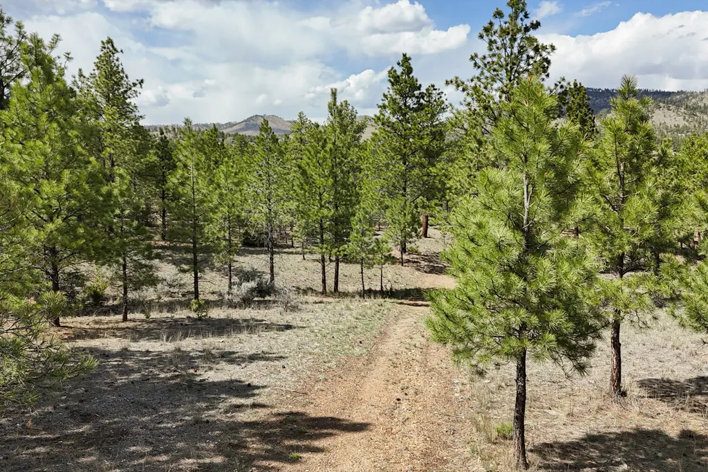 6417 Big Belt Drive Helena MT 59602