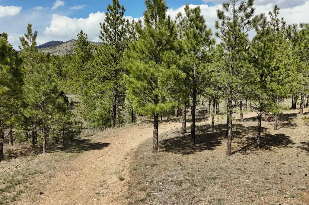 6417 Big Belt Drive Helena MT 59602