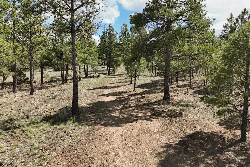 6417 Big Belt Drive Helena MT 59602