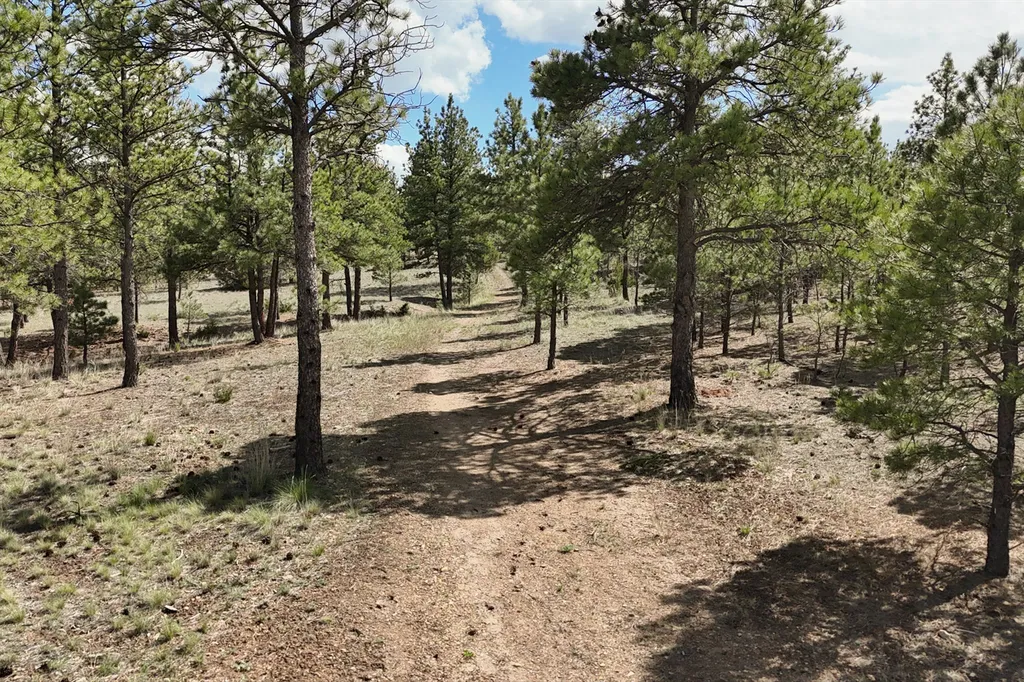 6417 Big Belt Drive Helena MT 59602