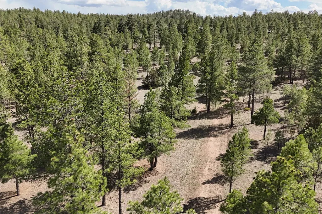 6417 Big Belt Drive Helena MT 59602