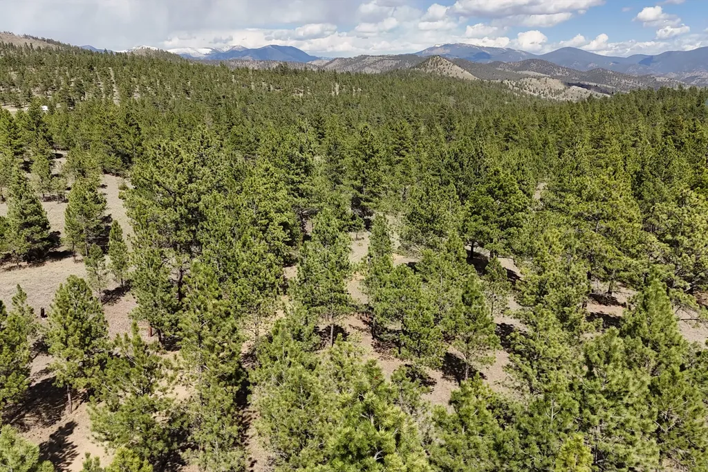 6417 Big Belt Drive Helena MT 59602