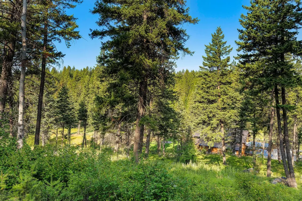 32 Bridle Court Bigfork MT 59911