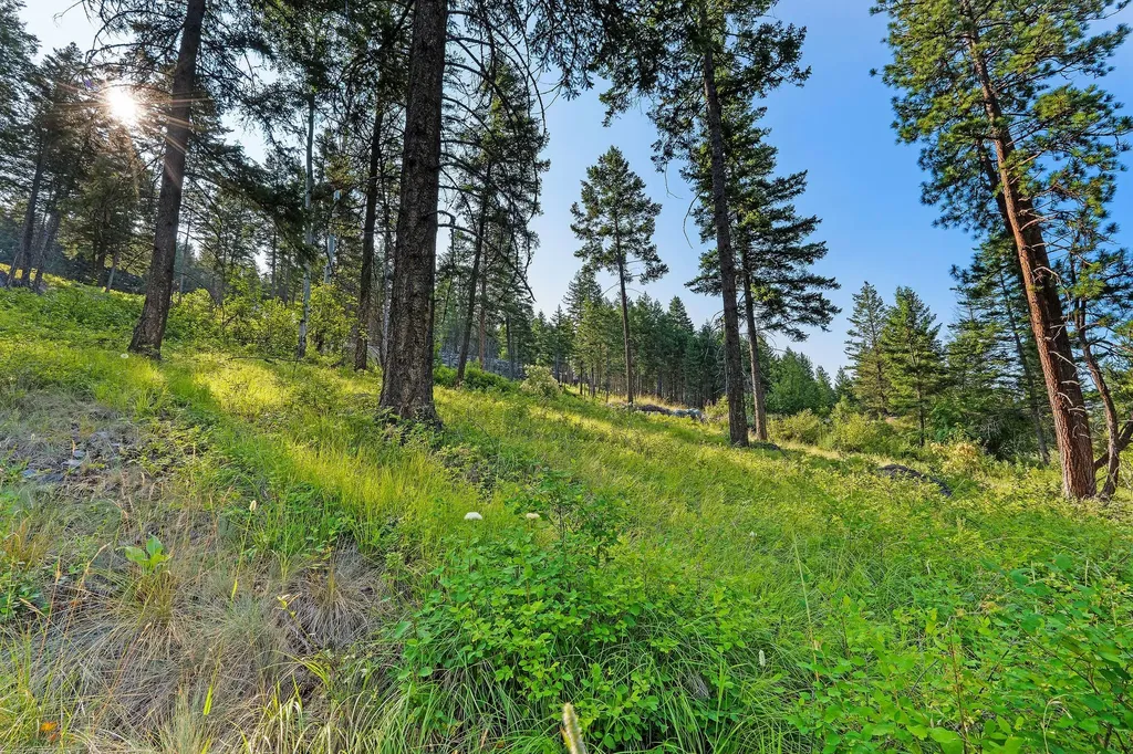 32 Bridle Court Bigfork MT 59911