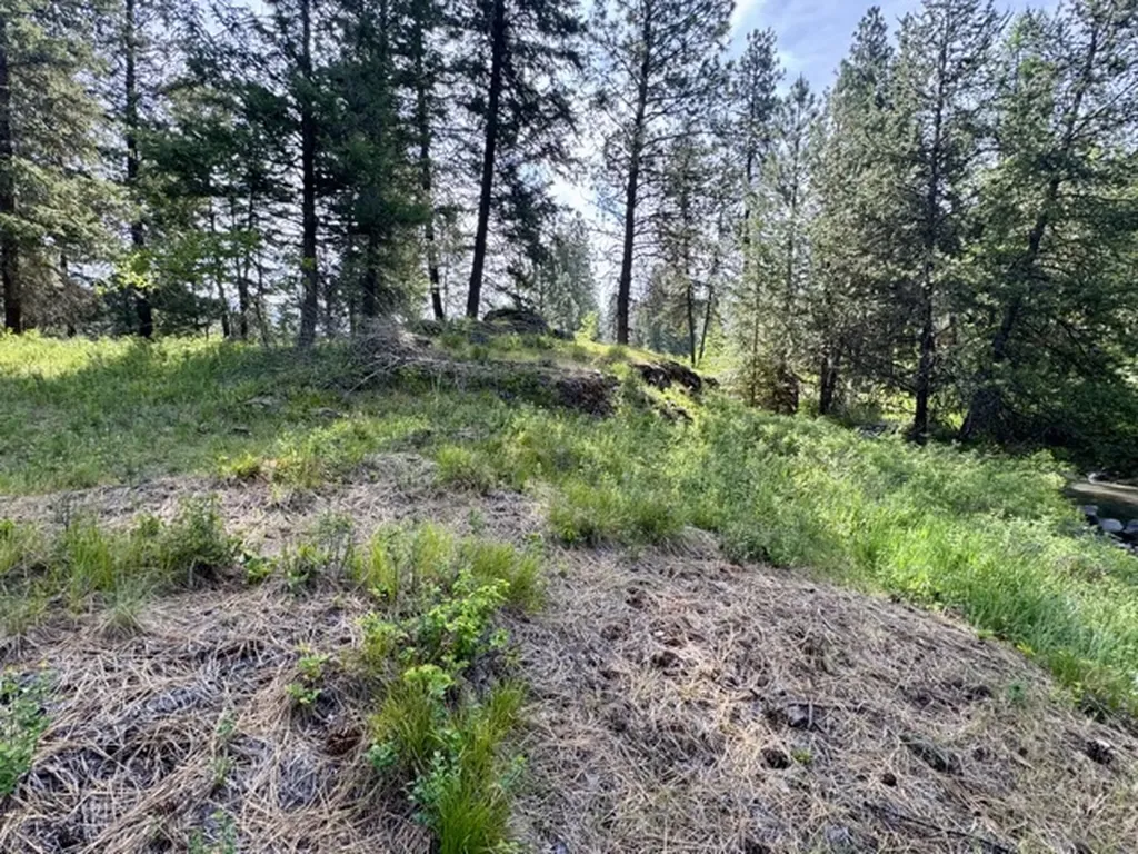 2506 Mossy Rock Court Thompson Falls MT 59873