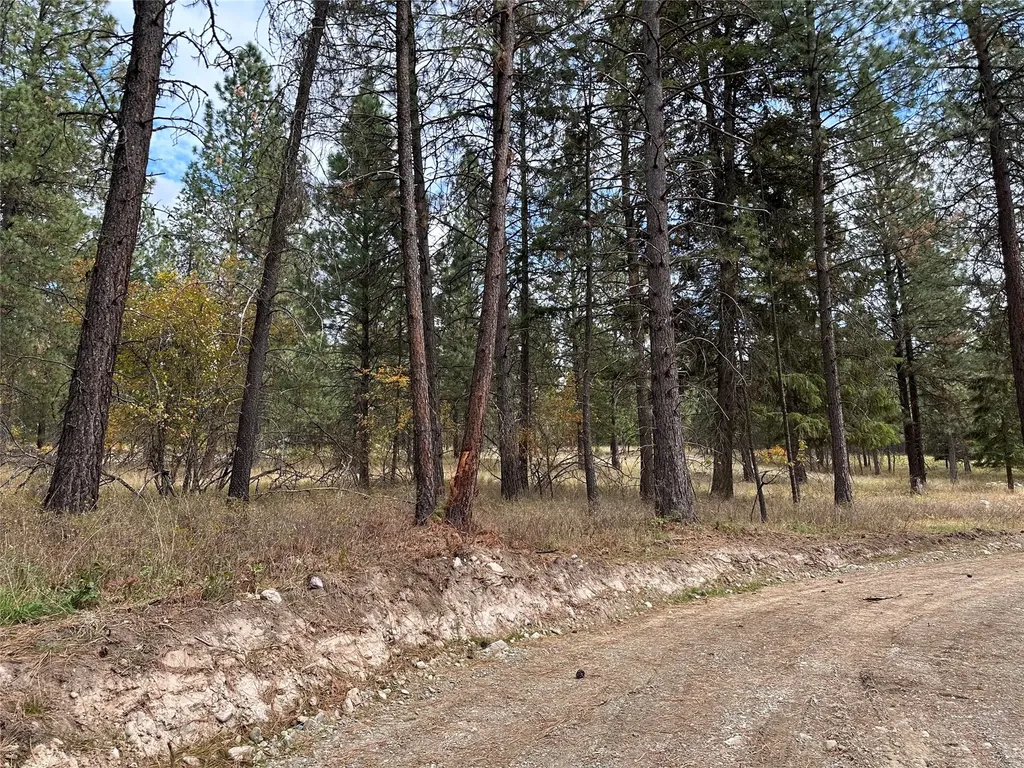 Nhn Harlow Road Thompson Falls MT 59873
