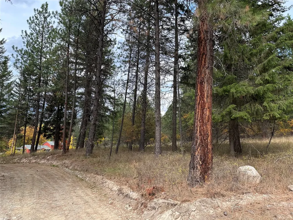 Nhn Harlow Road Thompson Falls MT 59873