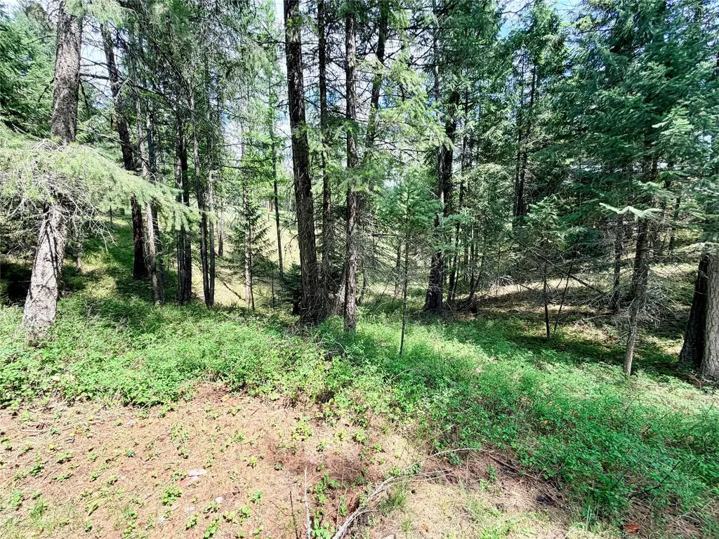 285 N Many Lakes Drive Kalispell MT 59901