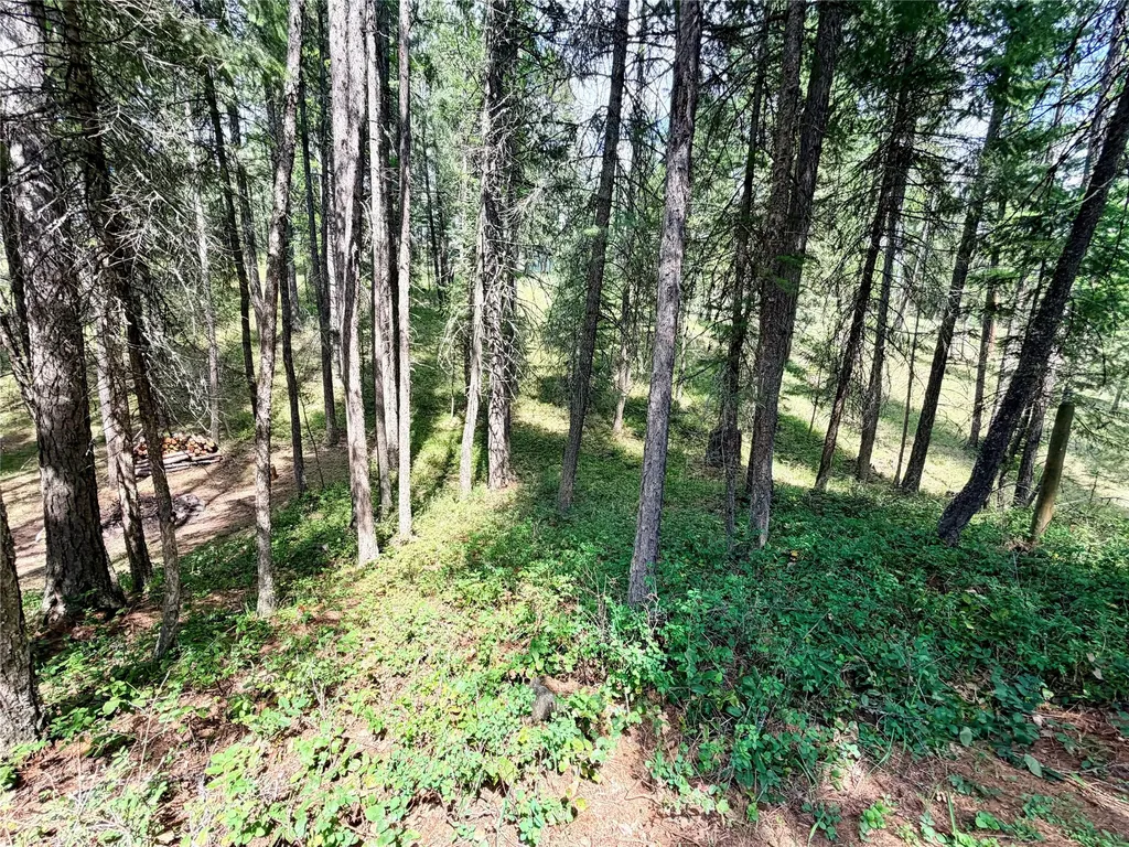 285 N Many Lakes Drive Kalispell MT 59901