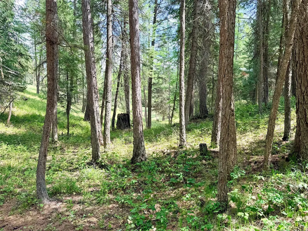 285 N Many Lakes Drive Kalispell MT 59901
