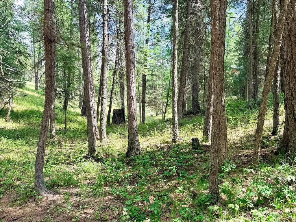 285 N Many Lakes Drive Kalispell MT 59901