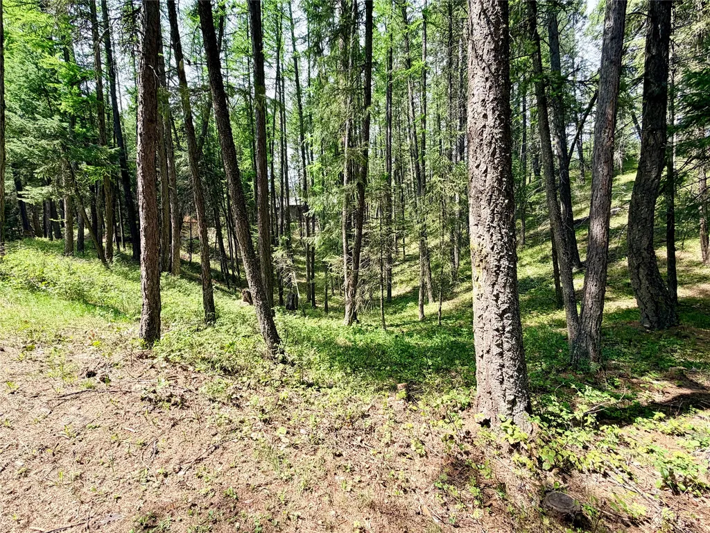 285 N Many Lakes Drive Kalispell MT 59901