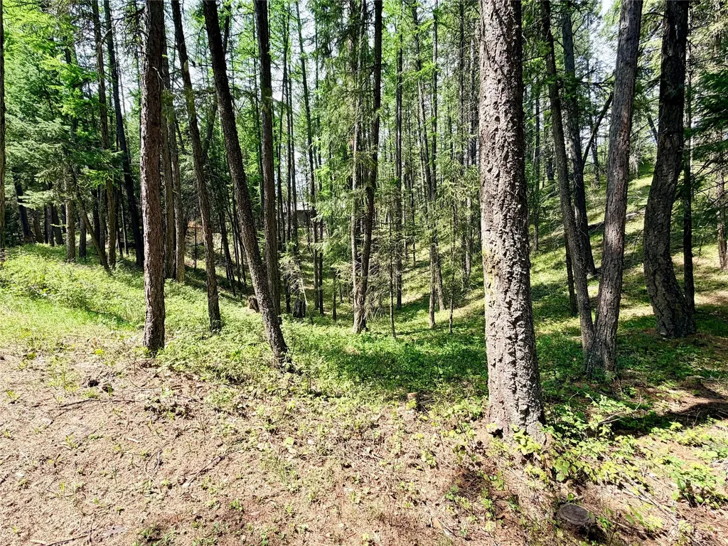 285 N Many Lakes Drive Kalispell MT 59901