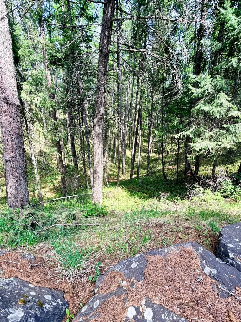 285 N Many Lakes Drive Kalispell MT 59901