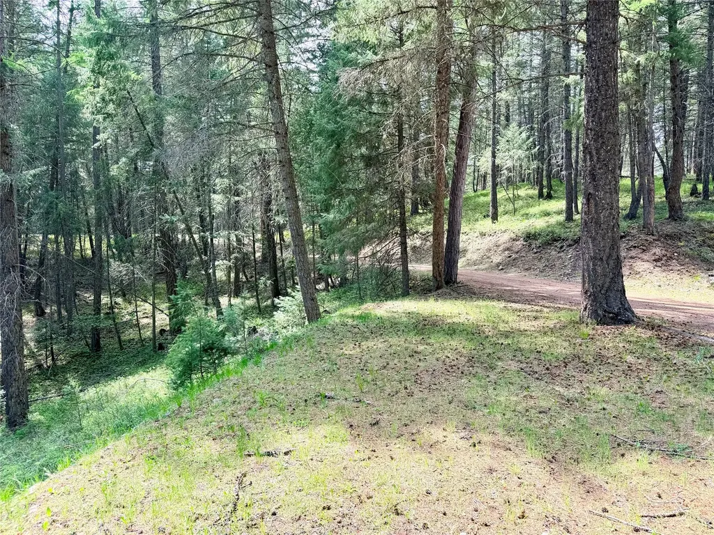 285 N Many Lakes Drive Kalispell MT 59901