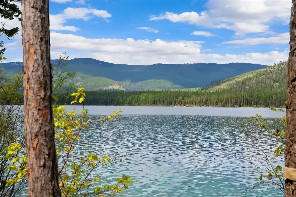 4247 Ashley Lake Road Kalispell MT 59901