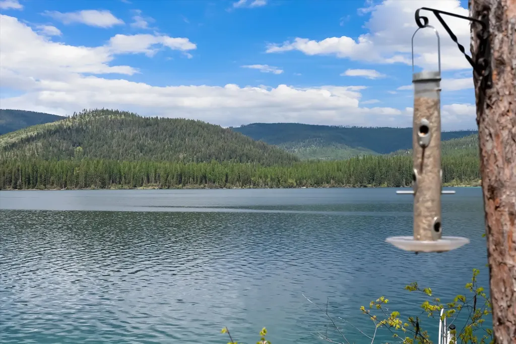 4247 Ashley Lake Road Kalispell MT 59901