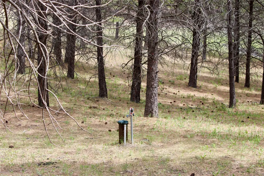 Nhn Sleeman Creek Road Lolo MT 59847