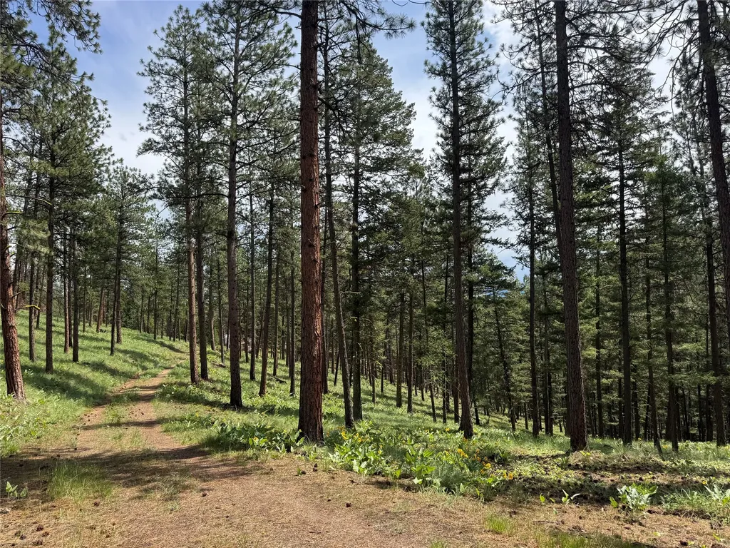 5088 Skyway Drive Missoula MT 59804