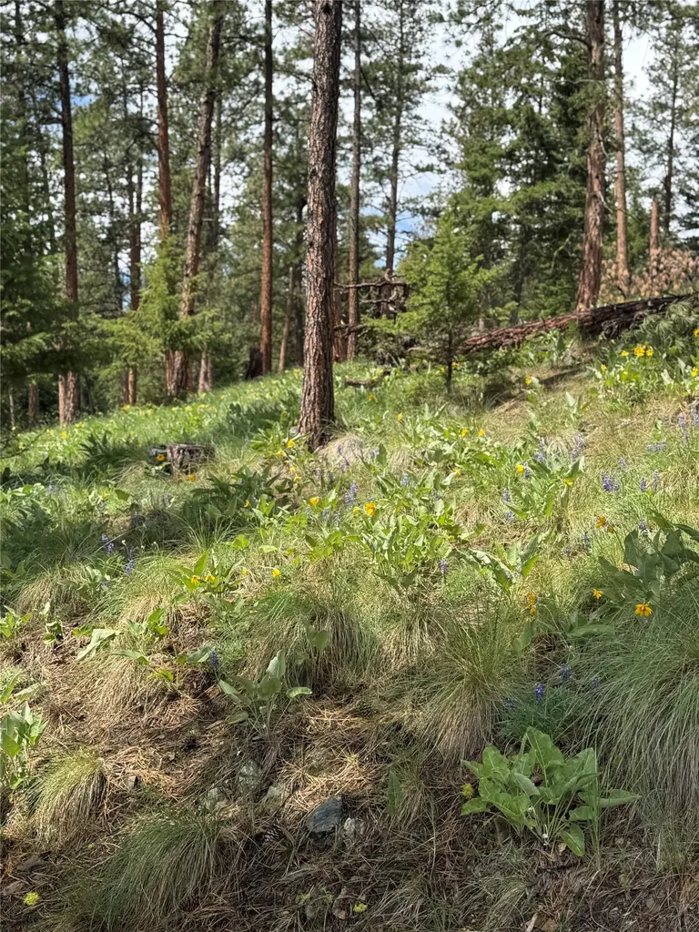 5088 Skyway Drive Missoula MT 59804