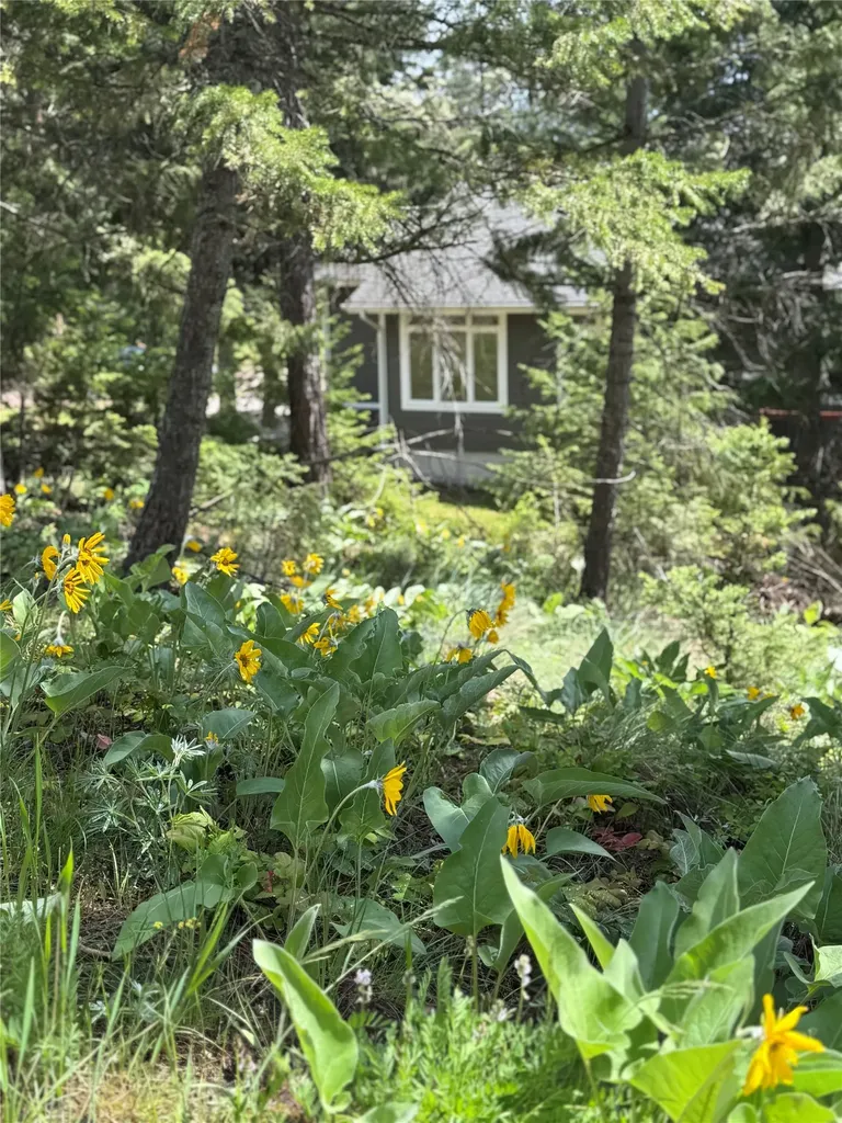 5088 Skyway Drive Missoula MT 59804